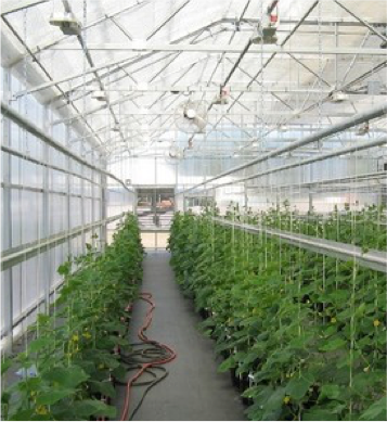 Finding Your Market As a Grower