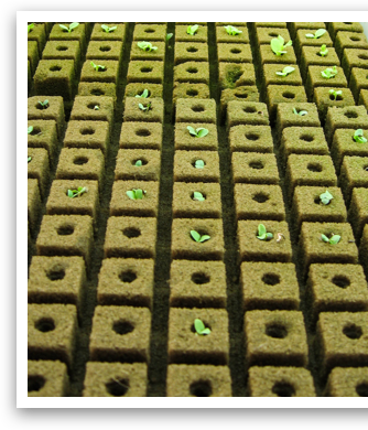 propagation systems