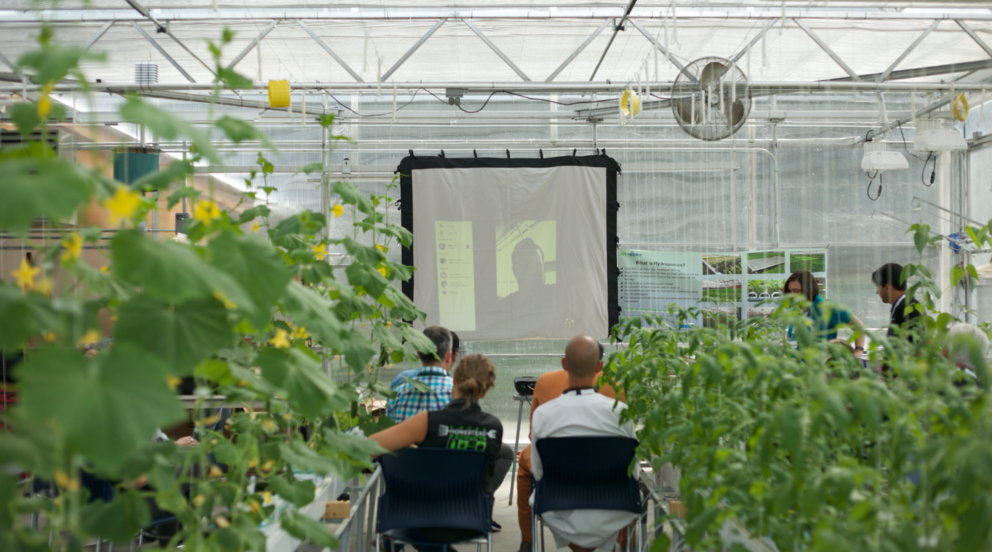Seminar Hydroponic Vine Crop Amhydro