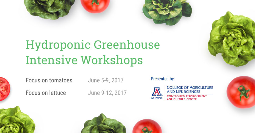 Hydroponic Greenhouse Workshops UofA
